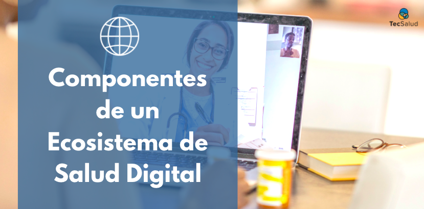 Componentes de un ecosistema de Salud Digital